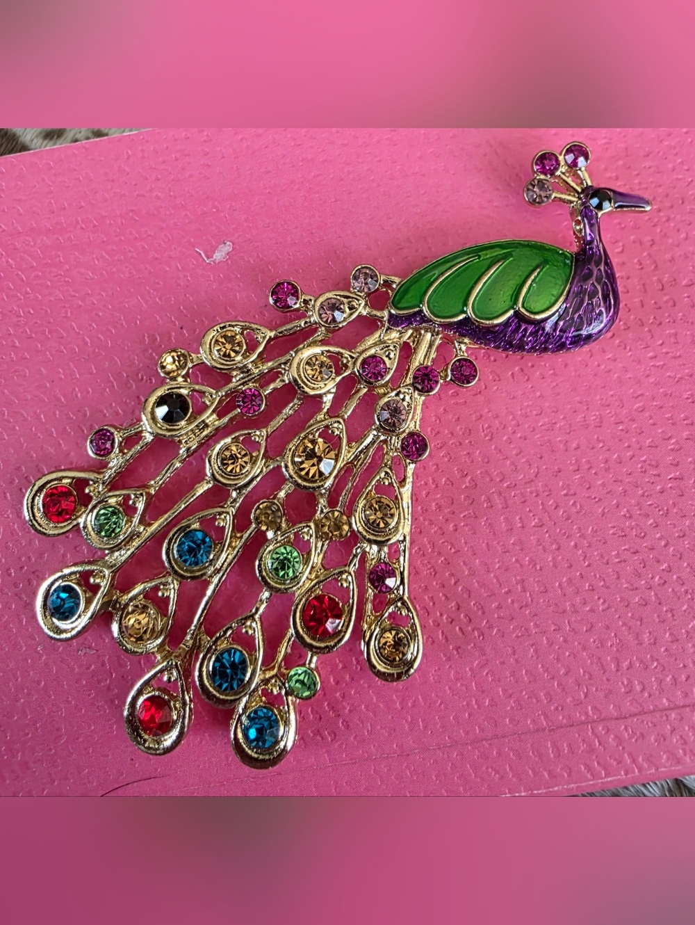 Multicolor Peacock